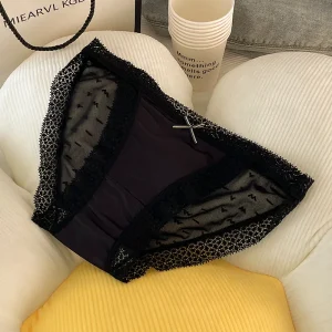 Pure Desire Women's Sexy Slightly Transparent Briefs Charm Panties with Alluring Charm